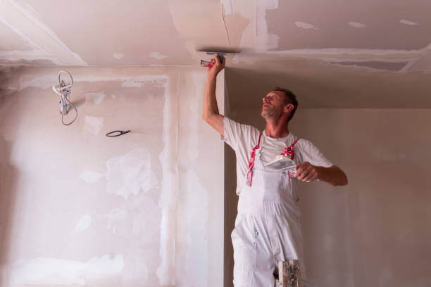 Reliable Wadsworth, IL Drywall and Painting Service Solutions